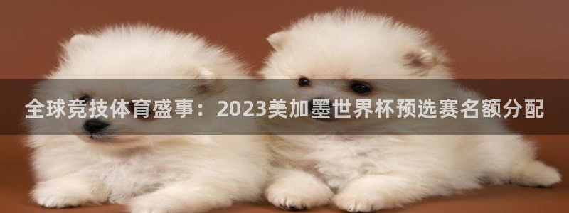 全球竞技体育盛事：2023美加墨世界杯预选赛名额分配