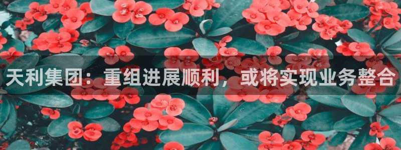 天利集团：重组进展顺利，或将实现业务整合